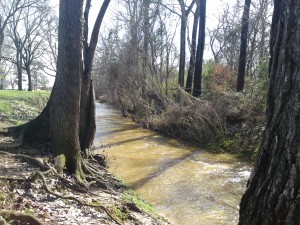 banita creek park north 2