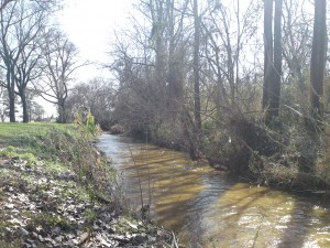 banita creek park north 8